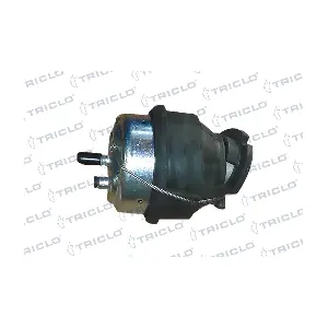 367175 TRICLO