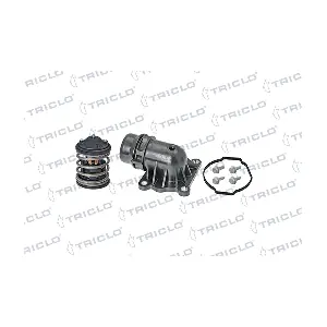 462497 TRICLO