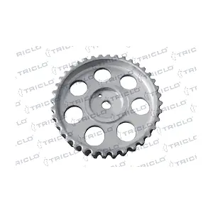 428860 TRICLO