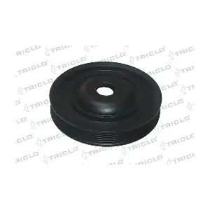 425052 TRICLO