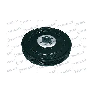 TRICLO 423303