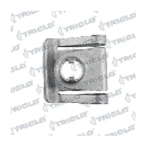161709 TRICLO