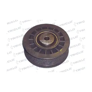 TRICLO 423857