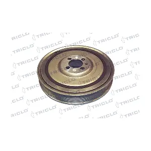 TRICLO 424087