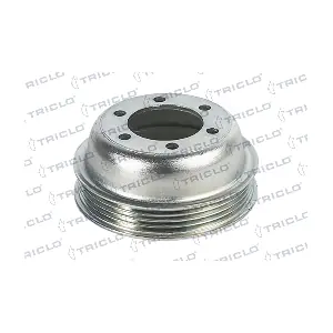 421281 TRICLO