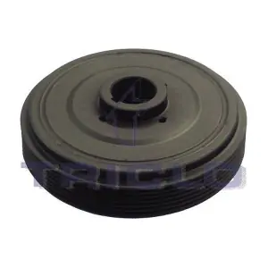 TRICLO 421207