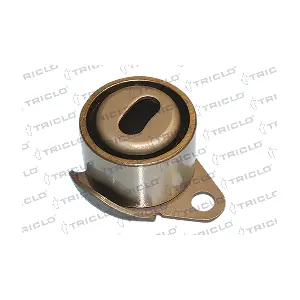 TRICLO 425213