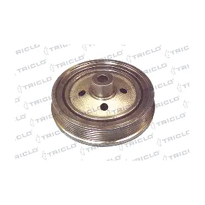TRICLO 428862