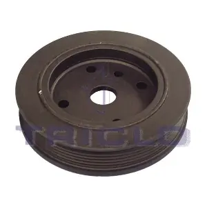 425183 TRICLO