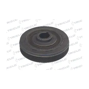 421206 TRICLO