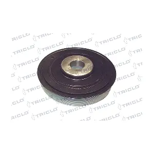 TRICLO 421209