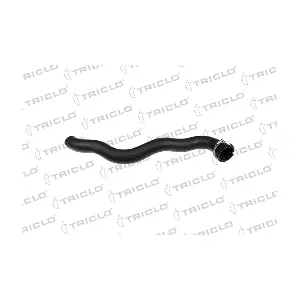 528891 TRICLO