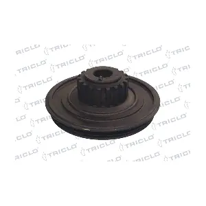 TRICLO 428123
