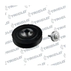 TRICLO 425166 Шків, колінчатий вал