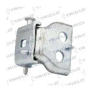 131965 TRICLO