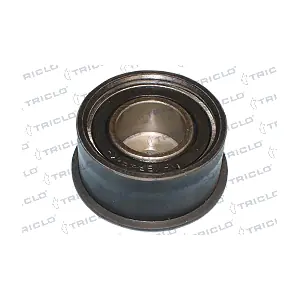 TRICLO 428494
