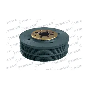 TRICLO 423310
