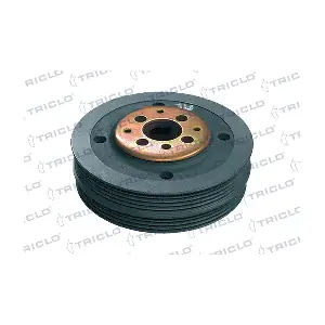 423290 TRICLO