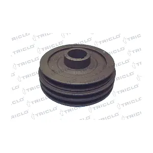 426013 TRICLO