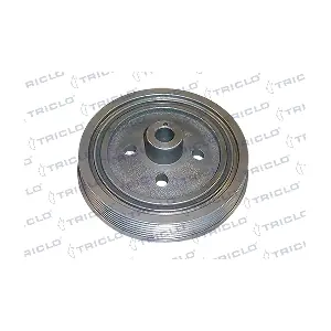 TRICLO 428141