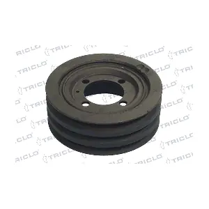 TRICLO 428130