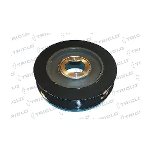 425805 TRICLO
