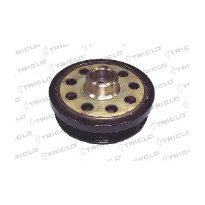 TRICLO 423295