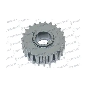 TRICLO 428858