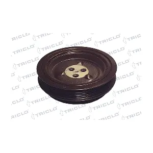 TRICLO 421243