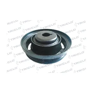 428960 TRICLO