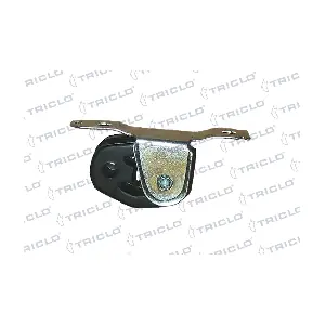 353169 TRICLO