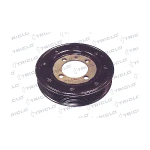 204167 TRISCAN