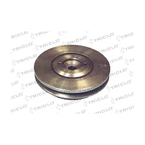 TRICLO 425129