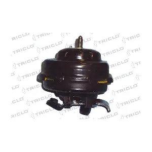 TRICLO 363909
