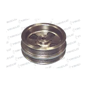 425164 TRICLO