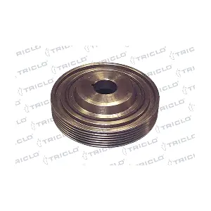 TRICLO 428126