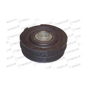 TRICLO 423292