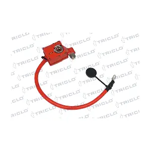 972480 TRICLO