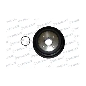 841780 TRICLO