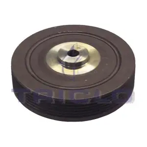 TRICLO 425147