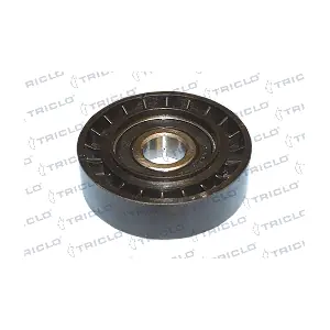 TRICLO 424195
