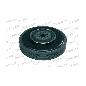 TRICLO 423309