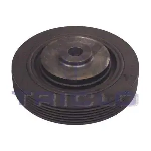 425188 TRICLO