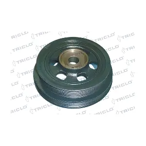 TRICLO 421282