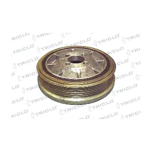 424042 TRICLO