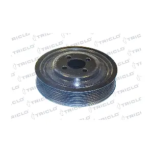 424564 TRICLO