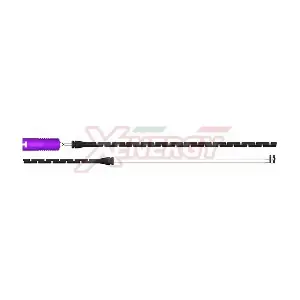 X70181 AP XENERGY