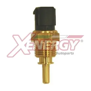 XS3101 AP XENERGY