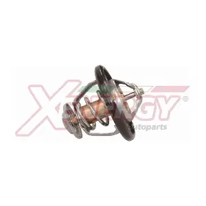 XT6838 AP XENERGY