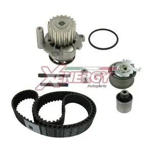 AP XENERGY XDW250012